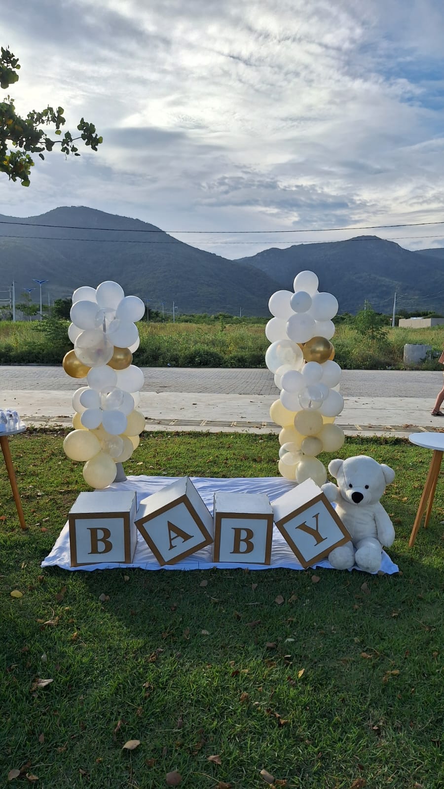 Kit Pegue e Monte Baby